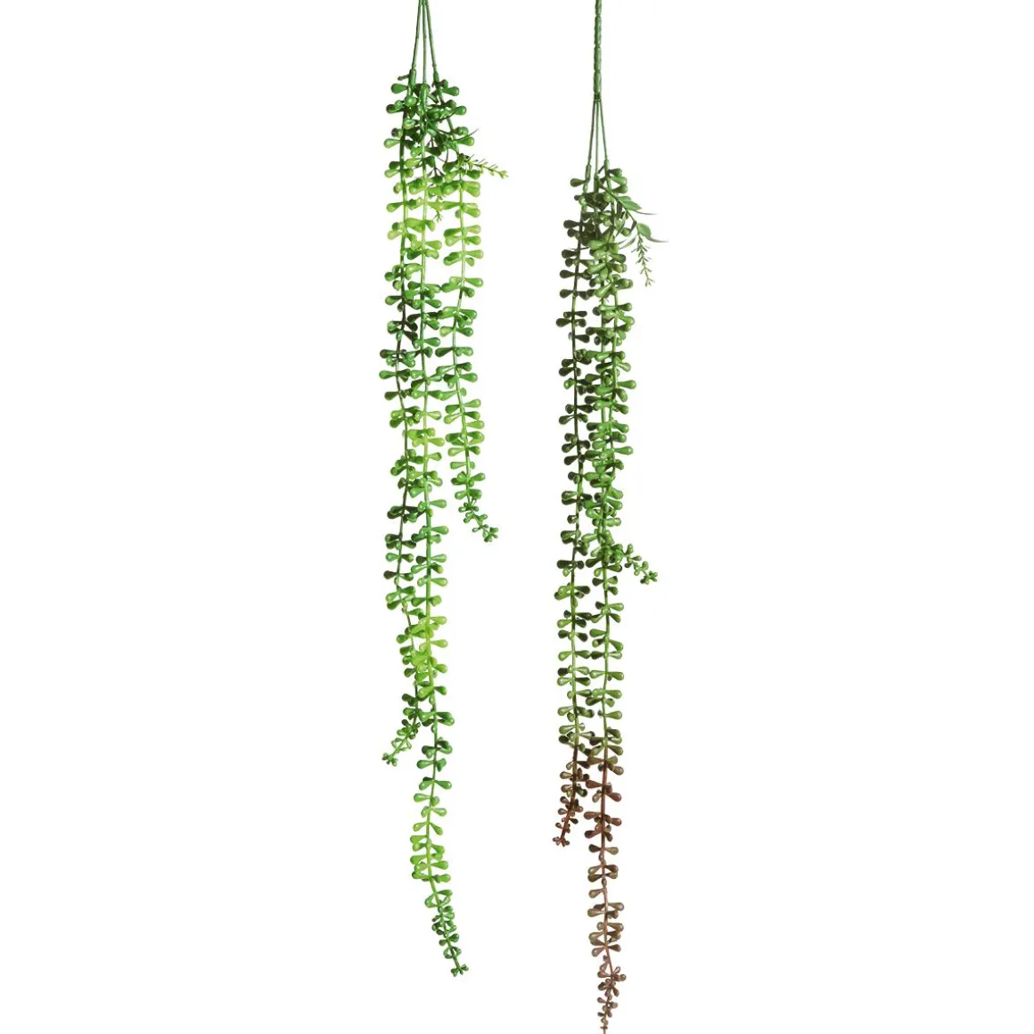 Kunstzweige Senecio Erbsenpflanze 71 Cm
