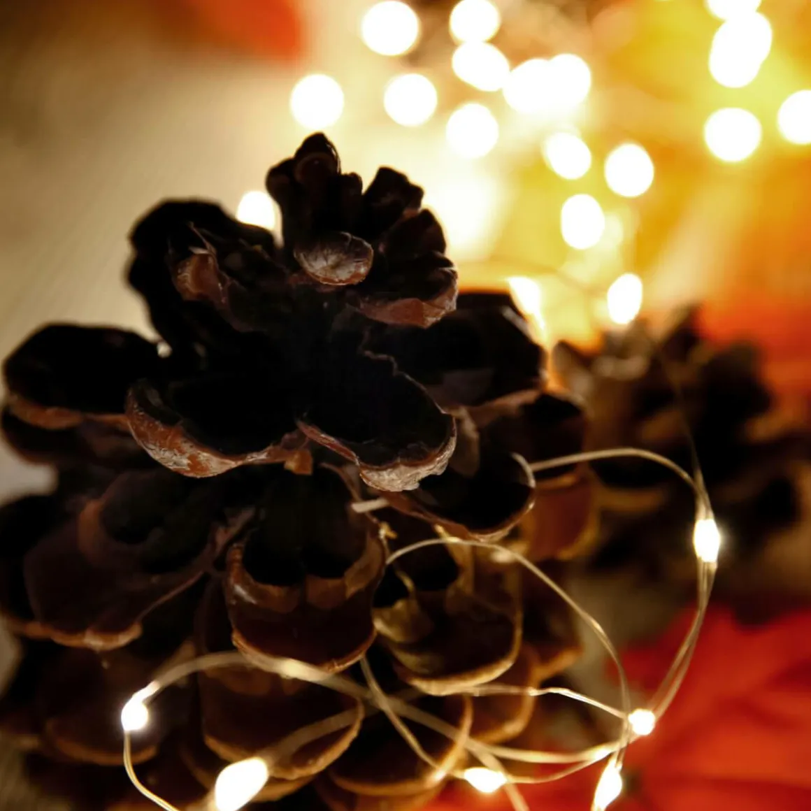 LED Batterie-Draht-Lichterkette Für Außen, 10 M