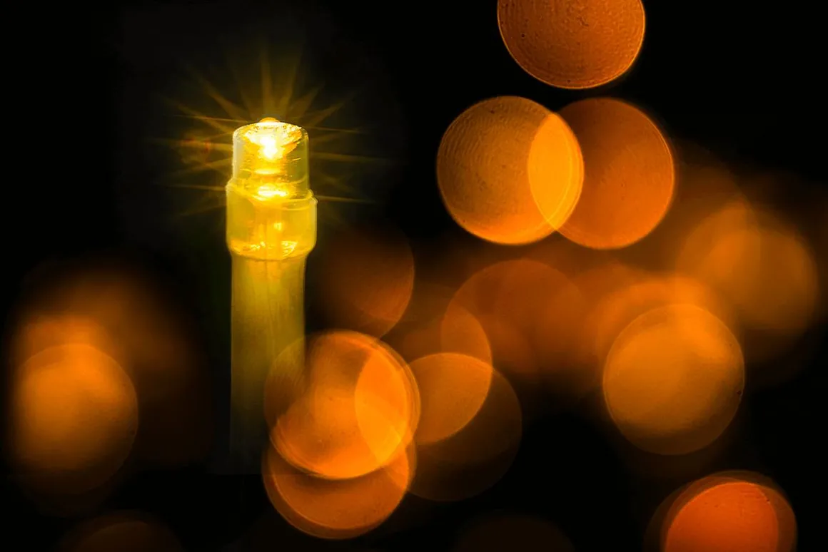 LED Kupplungslichterkette Für Außen IP67, 24 M Ohne Zuleitung