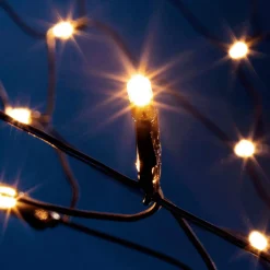 LED Lichternetz Für Außen, 240 Cm, Grün