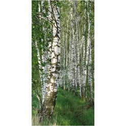 Lichtechter Naturfaser-Stoffbanner "Birkenwald" Aus Baumwolle 100 X 200 Cm