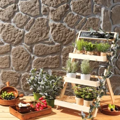 Mini Kräuter Im Topf Set à 6 Stück