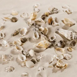 Muschel Und Schnecken-Mix Maritime-Streu-Dekoration 2000 G