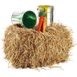 Papier Karottenbund 3 Stück 29 Cm Hoch