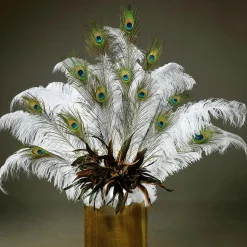 Pfauenfedern, Pack à 10 Stück