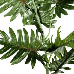 Philodendron Kunstzweig