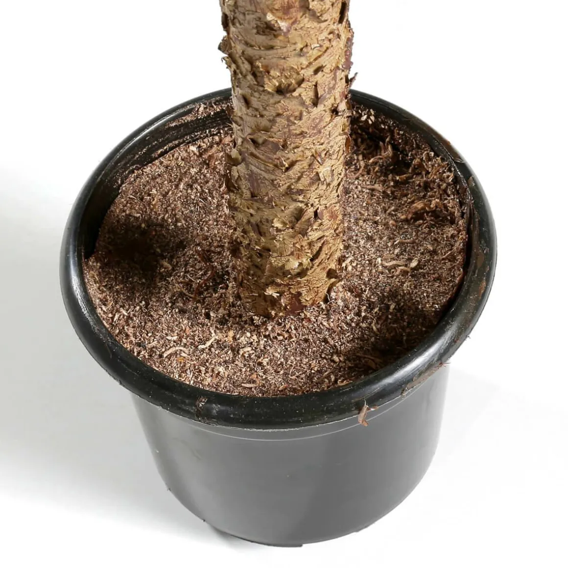 Phoenix Kunstpalme Im Topf, 135 Cm