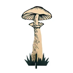 Pilz Aufsteller Natur / Schwarz 20 X 39 Cm