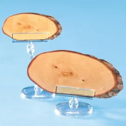 Preisschildhalter Mit Einschub, 4 Cm Hoch