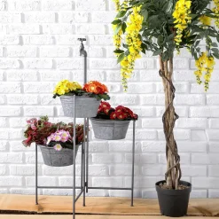 Primel Im Topf 19 Cm Ø Rosa