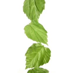 Ranke Birkenblätter 160 Cm