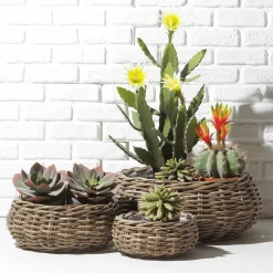 Rattan-Pflanzkorb-Set Rund, 3-teilig, Ø25cm X 12cm, Ø36cm X 14cm, Ø45cm X 22cm