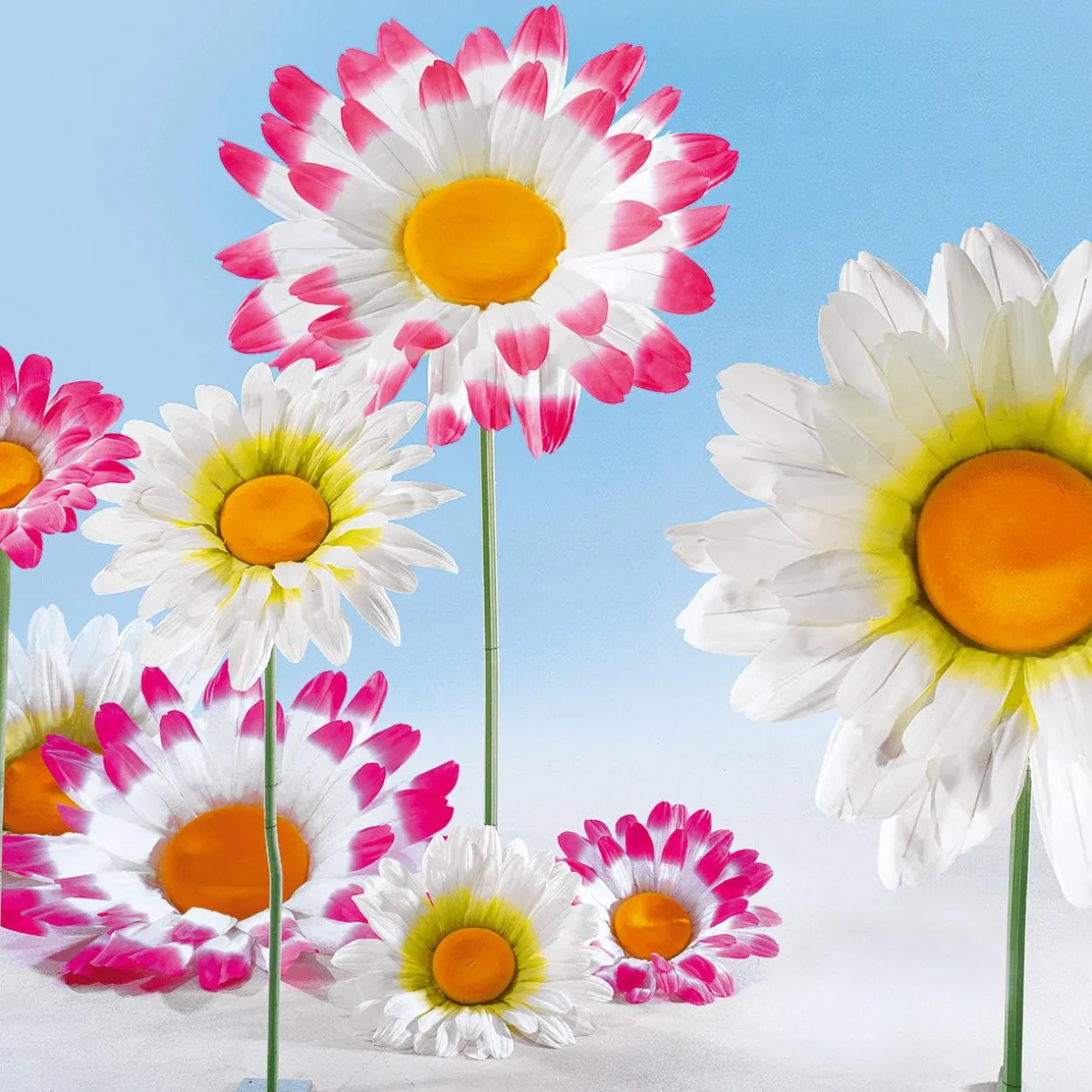 Riesen Gänseblümchen 170 Cm