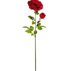 Riesen Rose Mit Knospe, 120 Cm