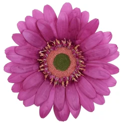 Riesen-Gerbera-Blüte Lila, 45 Cm Ø