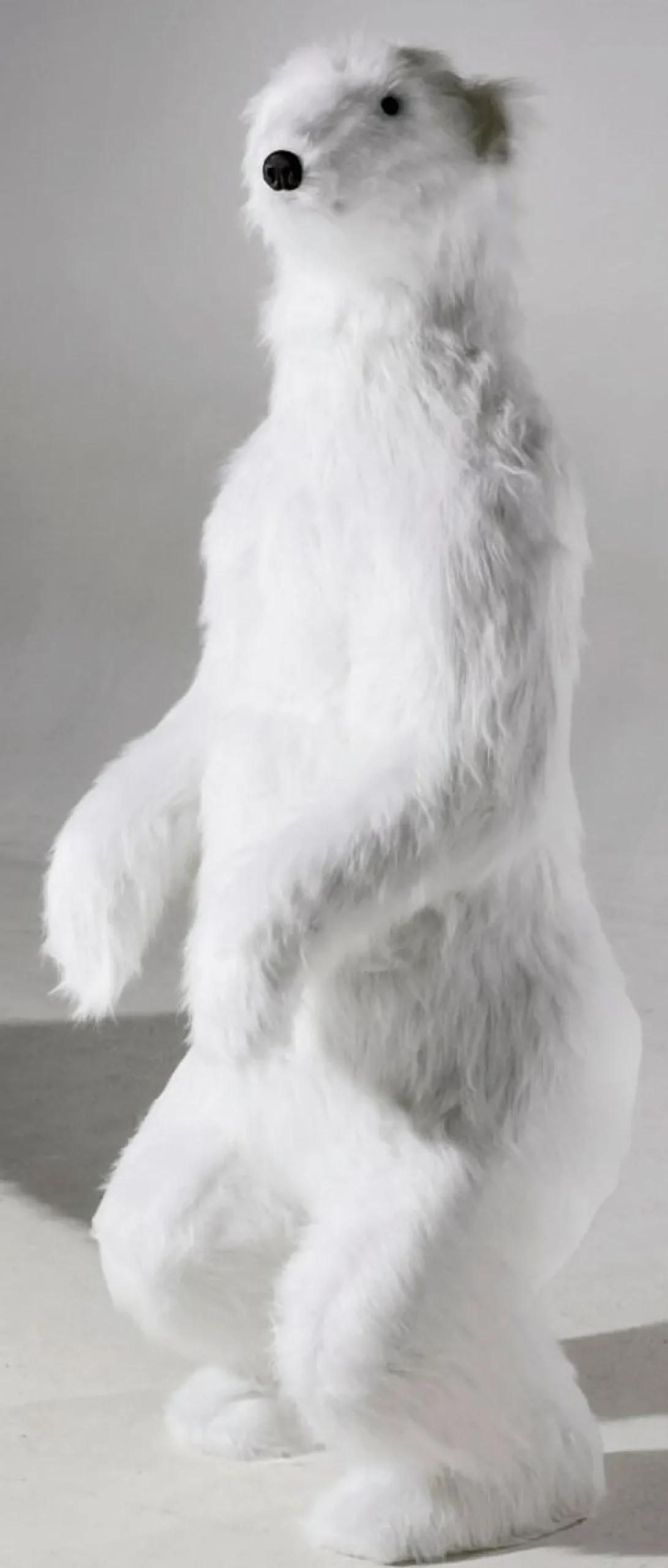 Riesengroßer Plüsch-Eisbär, 185 Cm Hoch