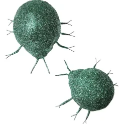 Riesen-Käfer, Grün Beglimmert 2 Stück