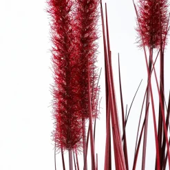 Rotes Deko-Federborstengras Im Schwarzen Topf 70 Cm