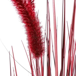Rotes Deko-Federborstengras Im Schwarzen Topf 90 Cm