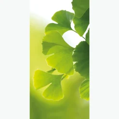 Schwer Entflammbarer Stoffbanner "Ginkgo" Aus Fahnenstoff 100 X 200 Cm