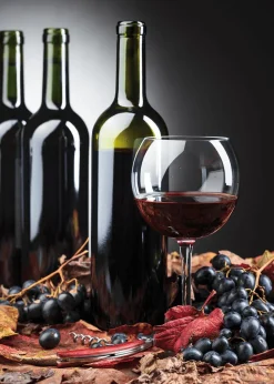 Schwer Entflammbarer Stoffbanner "Rotwein" Aus Fahnenstoff 100 X 140 Cm