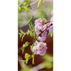 Schwer Entflammbarer Stoffbanner "rosa Kirschblütenzweig" Aus Fahnenstoff 100 X 200 Cm