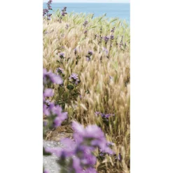 Schwer Entflammbarer Stoffbanner "Haferfeld" Aus Fahnenstoff 100 X 200 Cm