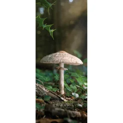 Schwer Entflammbarer Stoffbanner "Großer Pilz" Aus Fahnenstoff 75 X 180 Cm