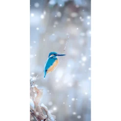 Schwer Entflammbarer Stoffbanner "Eisvogel" Aus Fahnenstoff 100 X 200 Cm