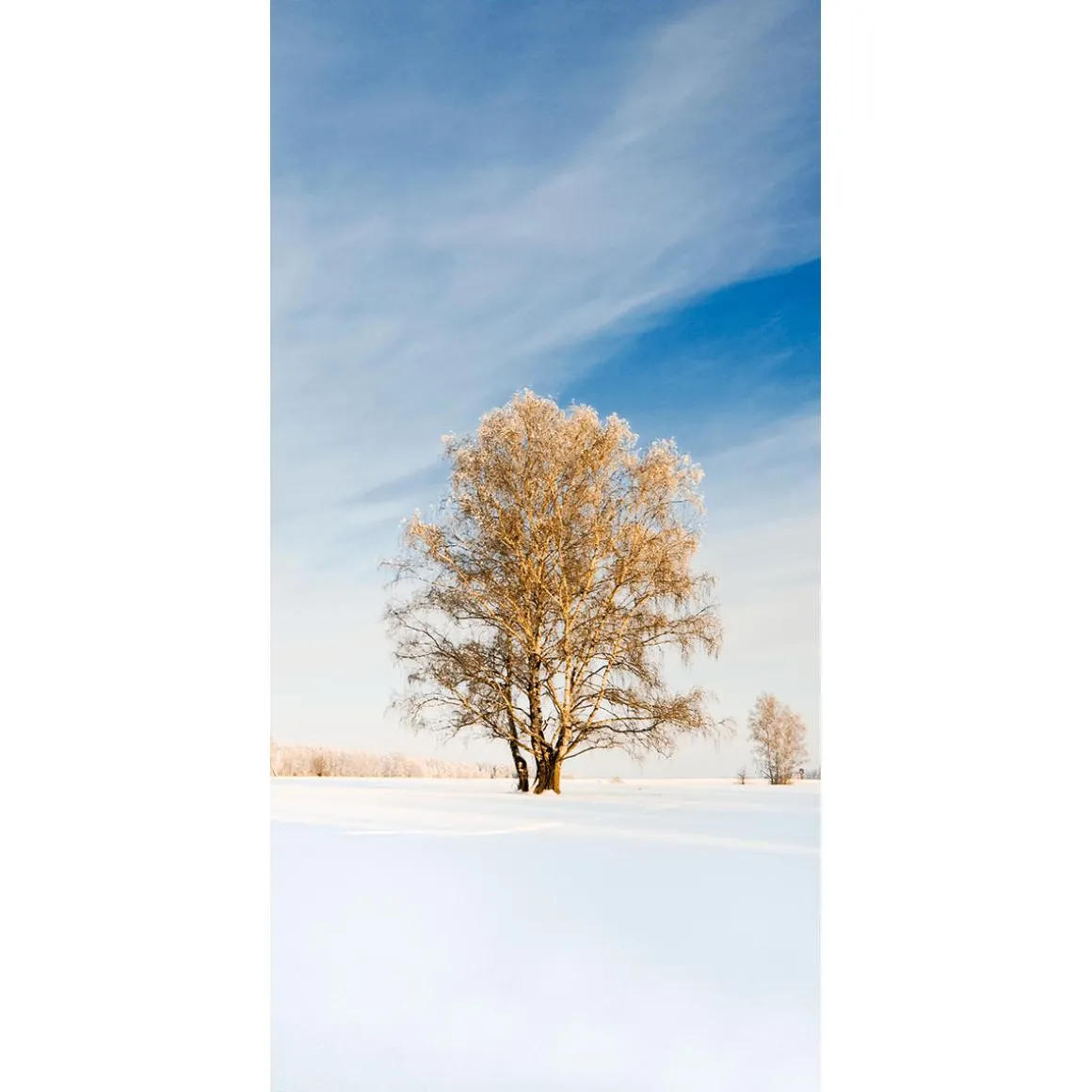 Schwer Entflammbarer Stoffbanner "Goldener Winterbaum" Aus Fahnenstoff 100 X 200 Cm
