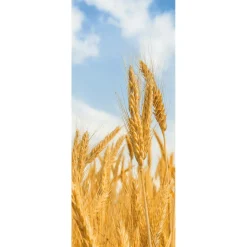 Schwer Entflammbarer Stoffbanner "goldene Weizenähren" Aus Fahnenstoff 75 X 180 Cm