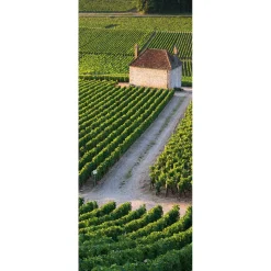 Schwer Entflammbarer Stoffbanner "Weingut" Aus Fahnenstoff 75 X 180 Cm