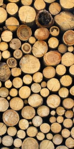 Schwer Entflammbarer Stoffbanner "Holzstapel" Aus Fahnenstoff 100 X 200 Cm