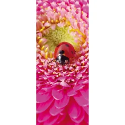 Schwer Entflammbarer Stoffbanner „Marienkäfer Auf Pinker Blüte“ Aus Fahnenstoff 75 X 180 Cm