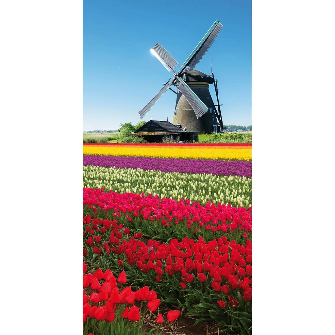 Schwer Entflammbarer Stoffbanner „Windmühle Im Tulpenfeld“ Aus Fahnenstoff 100 X 200 Cm