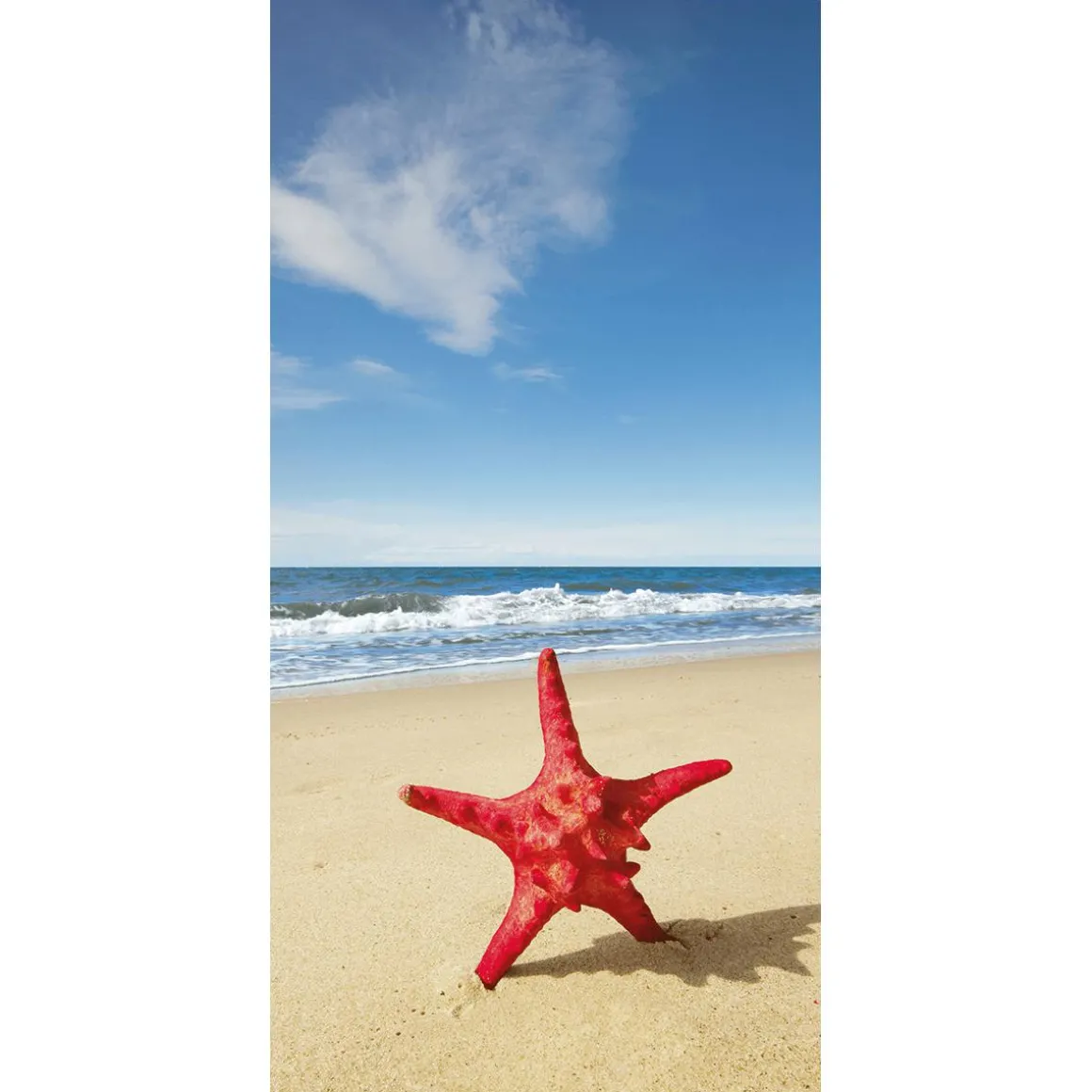 Schwer Entflammbarer Stoffbanner „roter Seestern Am Meer“ Aus Fahnenstoff 100 X 200 Cm