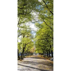 Schwer Entflammbarer Stoffbanner „Allee Im Park“ Aus Fahnenstoff 100 X 200 Cm