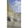 Schwer Entflammbarer Stoffbanner Muscheln Im Sand 100 X 200 Cm