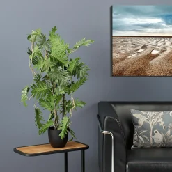 Split Philodendron Im Schwarzem Topf