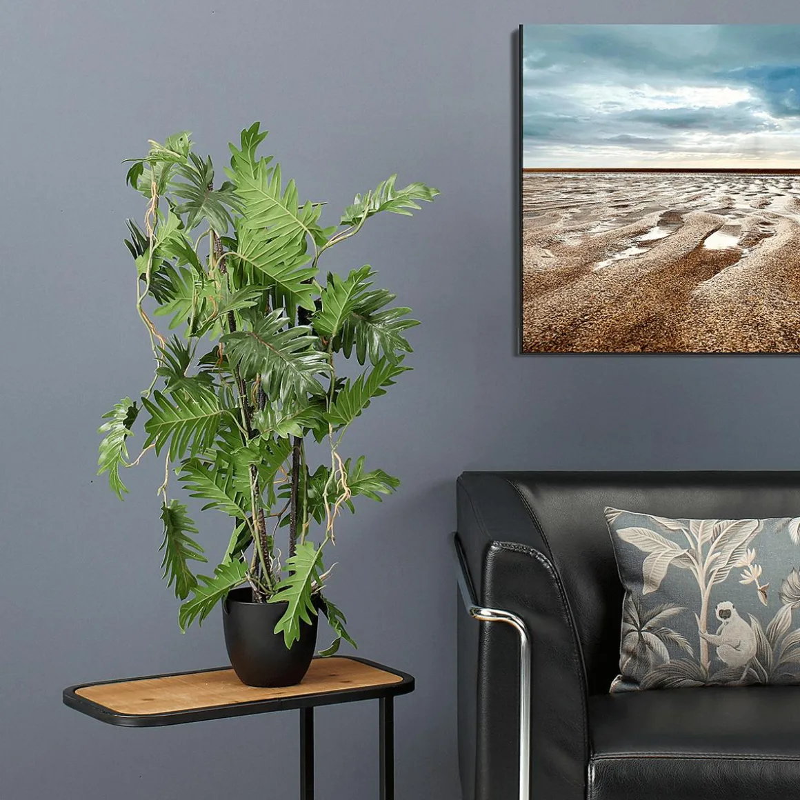 Split Philodendron Im Schwarzem Topf