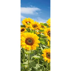Stoffbanner Sonnenblumenfeld Aus Fahnenstoff 75 X 180 Cm