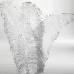 Straußenfeder Weiß, 60 Cm