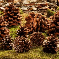 Streuartikel Kiefernzapfen, 10 Stück
