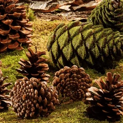 Streuartikel Kiefernzapfen 1 Kg