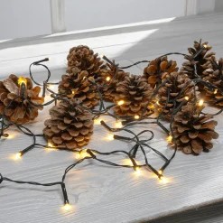 Streuartikel Kiefernzapfen 1 Kg