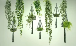 Tradecantiahänger 65 Cm Grün