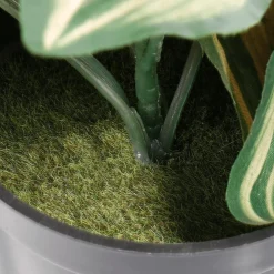 Tradecantiahänger Im Topf 30 Cm