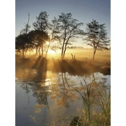 XL-Stoffbanner "Herbstnebel" Aus Schwer Entflammbarem Fahnenstoff 150 X 200 Cm