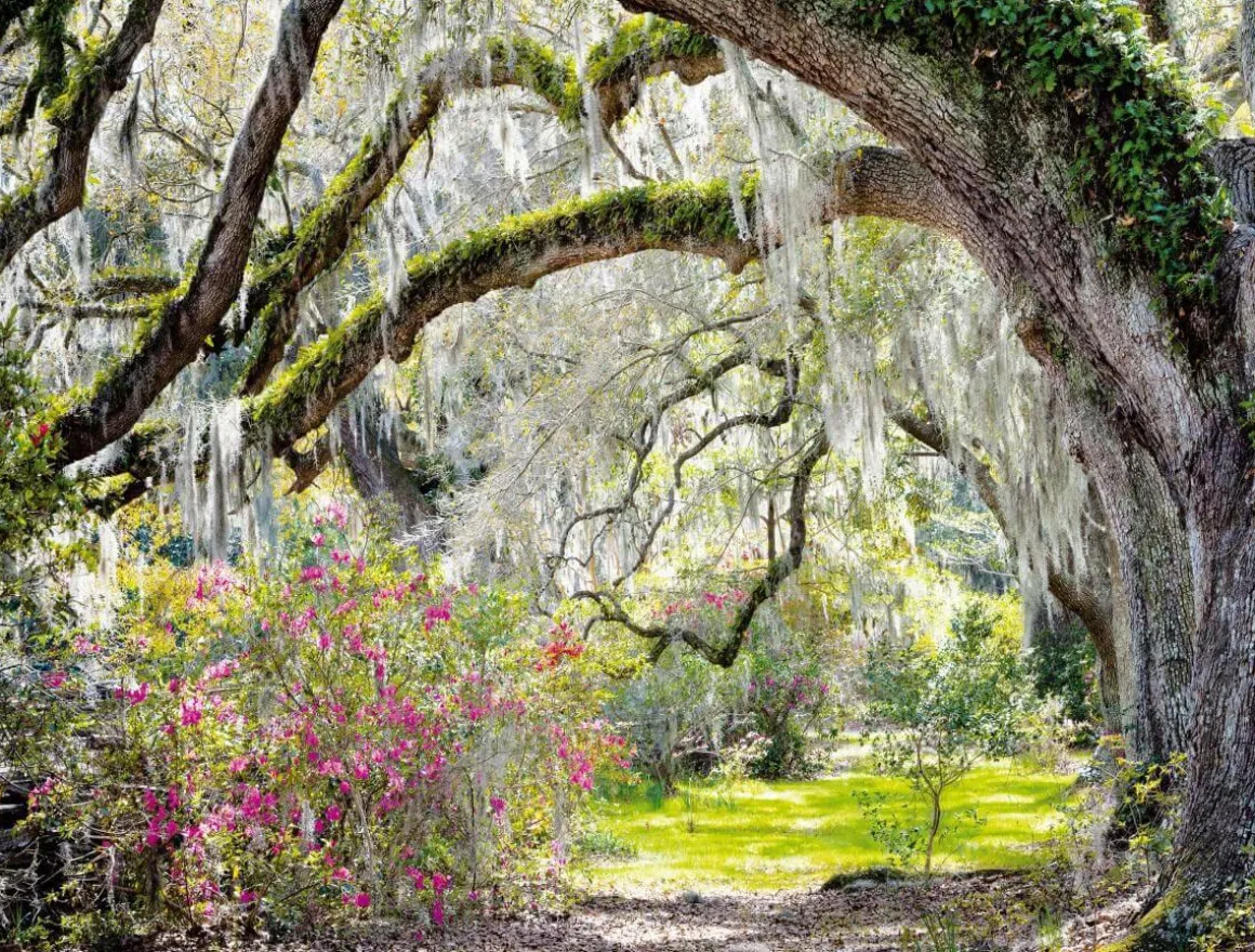 XXL-Planenbanner "Park MitSpanischem Moos" Aus Schwer Entflammbarer LKW-Plane 250 X 330 Cm