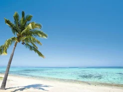 XXL-Planenbanner "Tropischer Palmenstrand" Aus Schwer Entflammbarer LKW-Plane 300 X 400 Cm